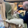 Reupholstery of a Parker Knoll Chair