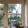 Made to Measure Roman Blind