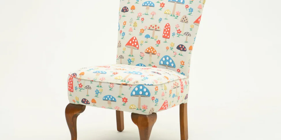 Charming Novelty Chair