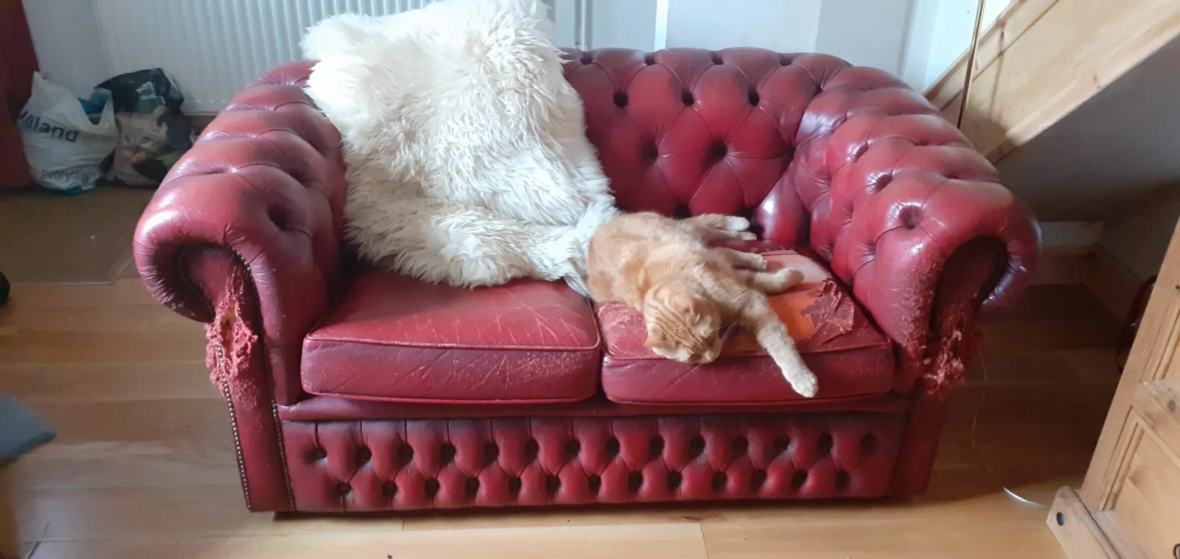 Chesterfield Recovered